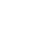logo double pixel